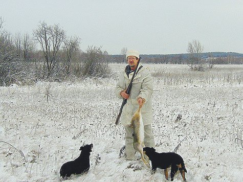 Из опыта охоты на русака. Фото автора