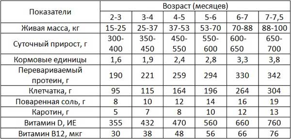 Таблица набора массы до 100 кг