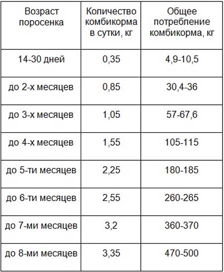 Таблица расхода комбикормов для выращивания одной свиньи 