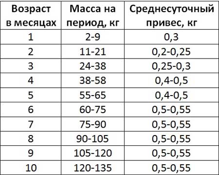 Сколько весят в 4 месяца. Сколько должен весить поросенок в 2 месяца. Вес поросят по месяцам таблица. Средний вес поросят по месяцам таблица. Привес поросят по месяцам таблица.