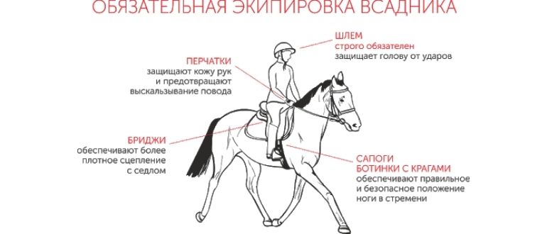 езда на лошади